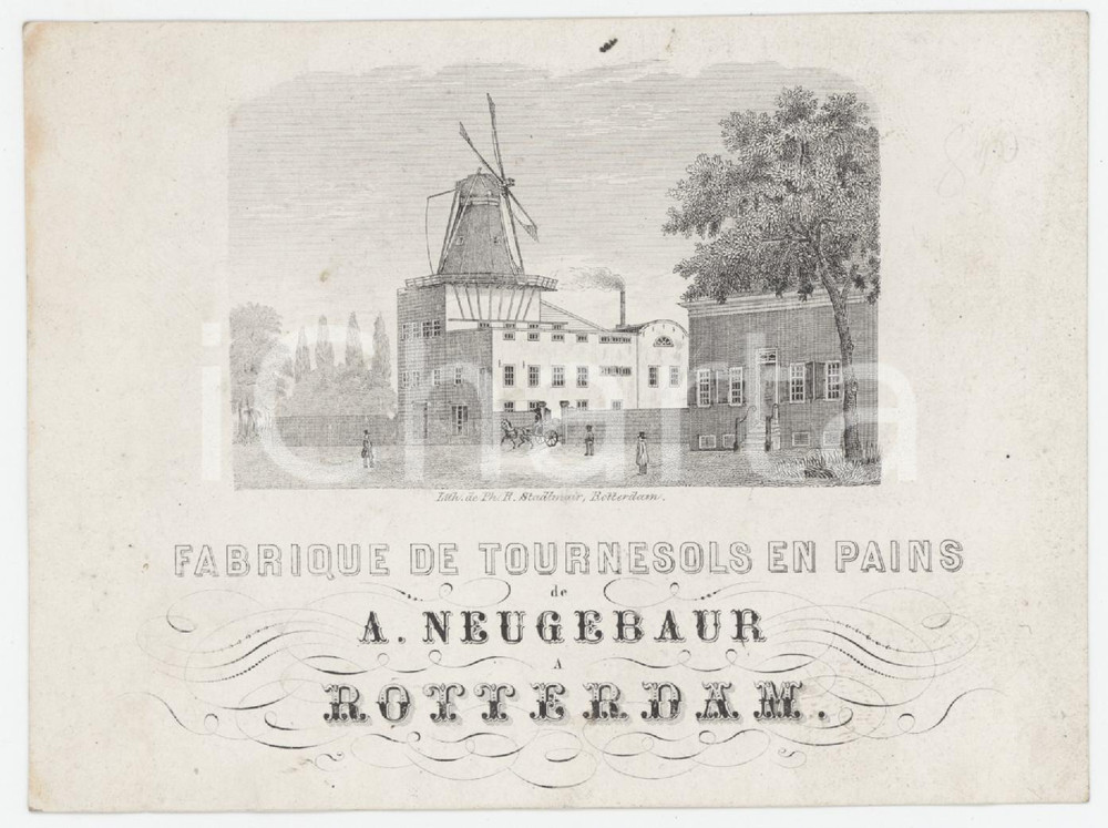1900 ca ROTTERDAM - Fabrique tournesols en pains de A. NEUGEBAUR - Label Etichetta originale d'epoca. FAIR/discreto lievi macchie; residui cartacei al verso Formato: 11x8 cm originale e autentica 1
