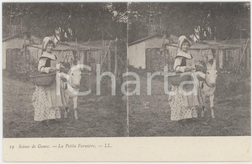 Cartolina originale da collezione 1900 ca FRANCE ScÃ¨nes de genre  La Petite FermiÃ¨re  StÃ©rÃ©o Carte postale n. 20 1