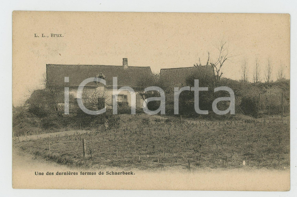 1903 SCHAERBEEK (BELGIQUE) Une des dernières fermes - Carte postale  Cartolina postale d'epoca, viaggiata.CONDIZIONI: G FORMATO: FP    originale e autentica 1