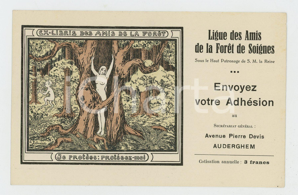 1910 ca Jeanne HOVINE Ex Libris Amis de la Forêt de Soignes - Nude woman *Postcard Cartolina postale d'epoca, opera dell'artista Jeanne Hovine.Non viaggiata.CONDIZIONI: G FORMATO: FP    originale e autentica 1