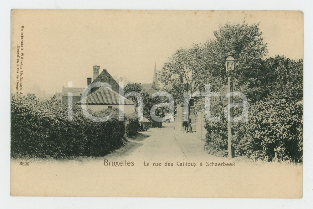 1900 ca BRUXELLES - SCHAERBEEK Rue des Cailloux - Carte Postale FP NV  Cartolina postale d'epoca, non viaggiata. FAIR/discreto Lievi smussature agli angoli Formato: FP originale e autentica 1