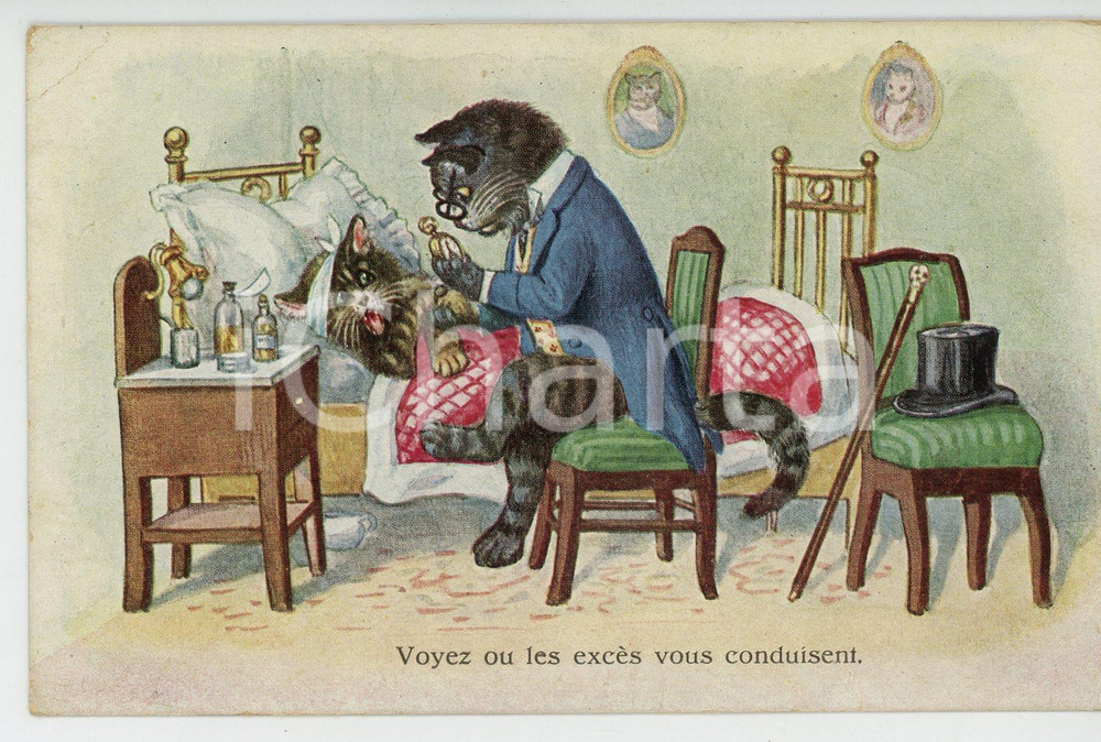 1932 ANIMALS Cat-doctor visiting a sick kitten ANTHROPOMORPHIC Postcard FP NV  Cartolina postale d'epoca, non viaggiata ma con testo manoscritto al verso.CONDIZIONI: POOR (piegatura all'angolo superiore sinistro e smussature agli angoli)FORMATO: FP    originale e autentica 1