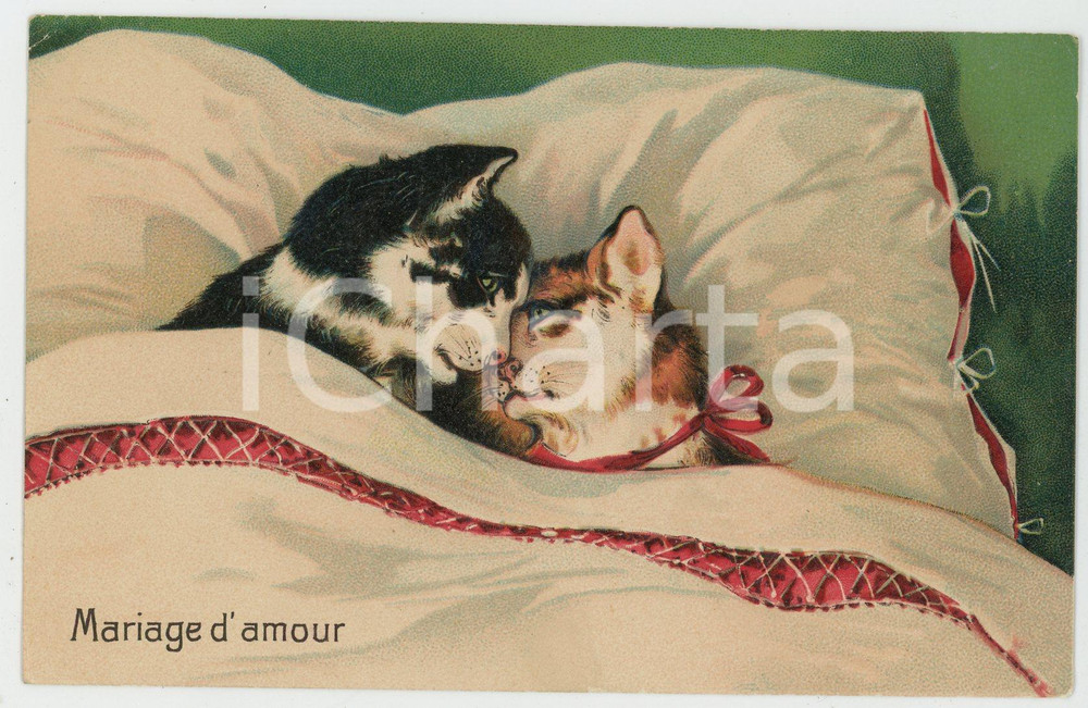 1910 ca ANIMAUX Chats - Mariage d'amour - Embossed Postcard FP NV  Cartolina postale d'epoca, non viaggiata.CONDIZIONI: FAIRFORMATO: FP    originale e autentica 1