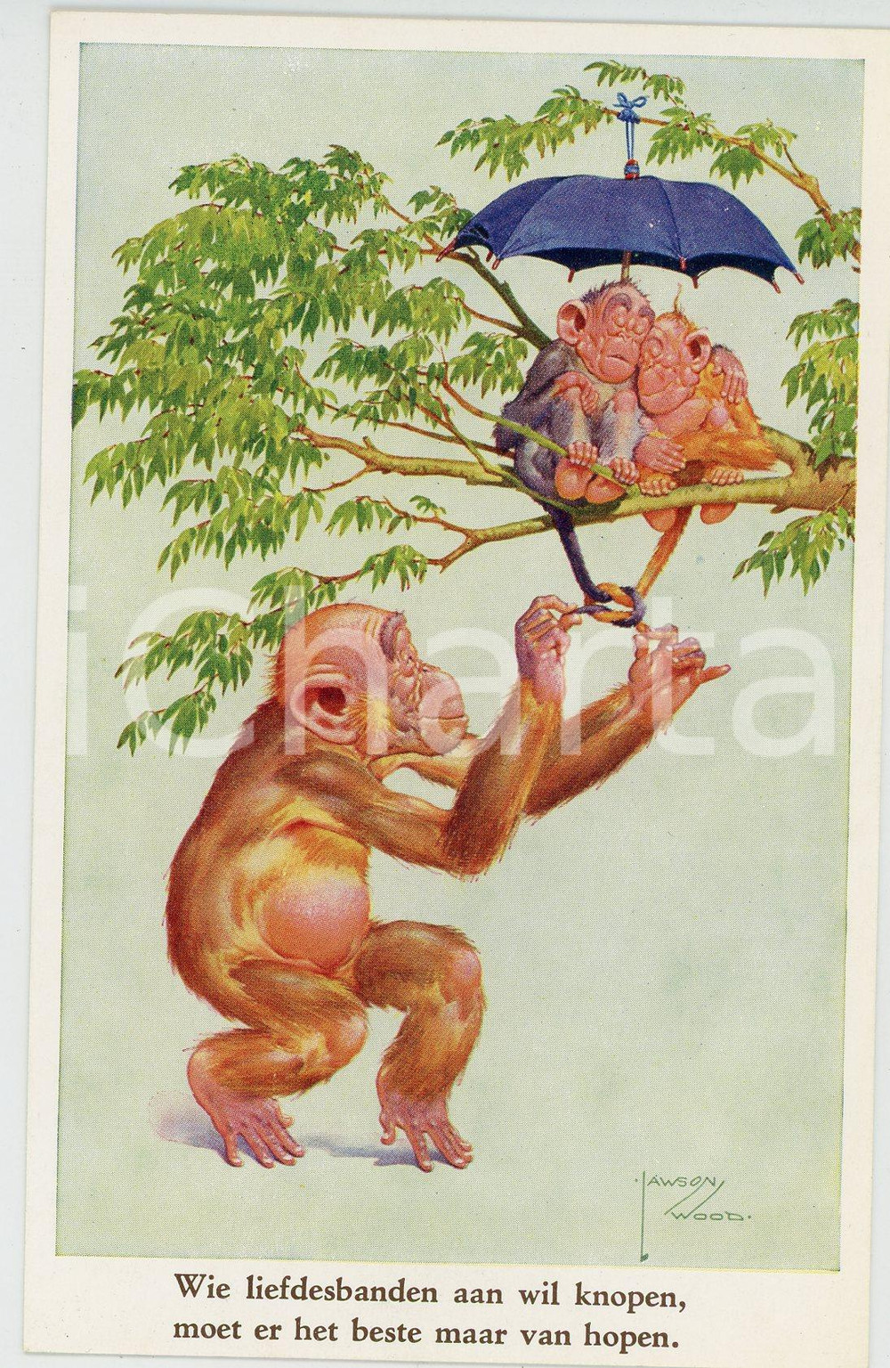 1920 ca ANIMALS Artist Lawson WOOD Monkey dad - Postcard GRAN'POP Series (4)  Cartolina postale d'epoca, non viaggiata.CONDIZIONI: GOODFORMATO: FP    originale e autentica 1