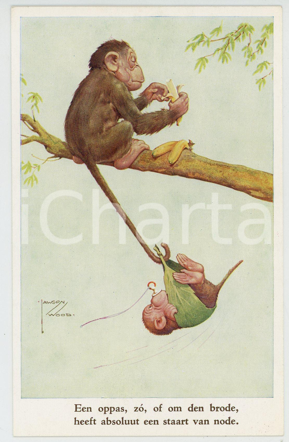 1920 ca ANIMALS Artist Lawson WOOD Monkey dad - Postcard GRAN'POP Series (1)  Cartolina postale d'epoca, non viaggiata.CONDIZIONI: GOODFORMATO: FP    originale e autentica 1