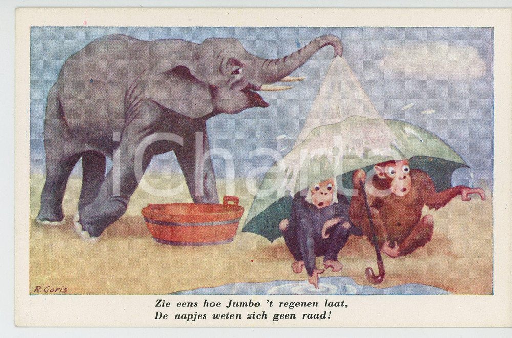1910 ca ANIMALS Artist R. GORIS Elephant bathing monkeys - Postcard FP NV  Cartolina postale d'epoca, non viaggiata.CONDIZIONI: FAIRFORMATO: FP    originale e autentica 1