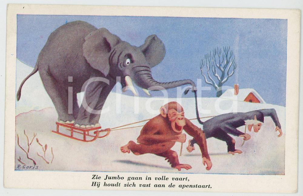 1910 ca ANIMALS Artist R. GORIS Monkeys and elephant on a sled - Postcard FP NV  Cartolina postale d'epoca, non viaggiata.CONDIZIONI: FAIR (piegature all'angolo superiore sinistro)FORMATO: FP    originale e autentica 1