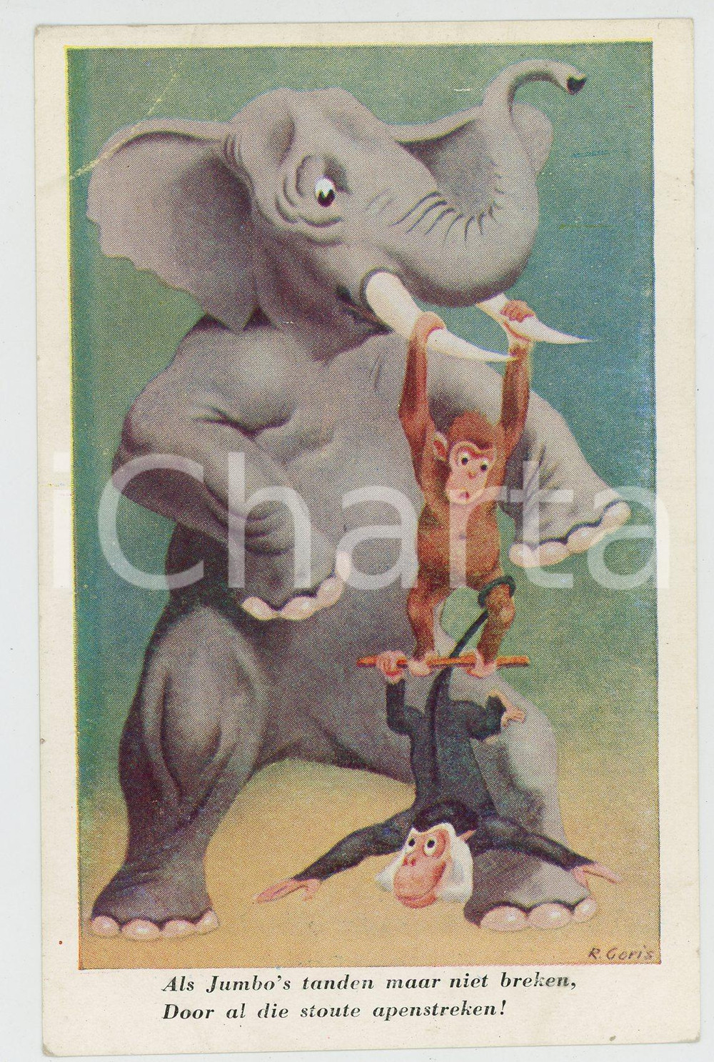 1910 ca ANIMALS Artist R. GORIS Monkeys and elephant equilibrists - Postcard FP  Cartolina postale d'epoca, non viaggiata.CONDIZIONI: FAIRFORMATO: FP    originale e autentica 1