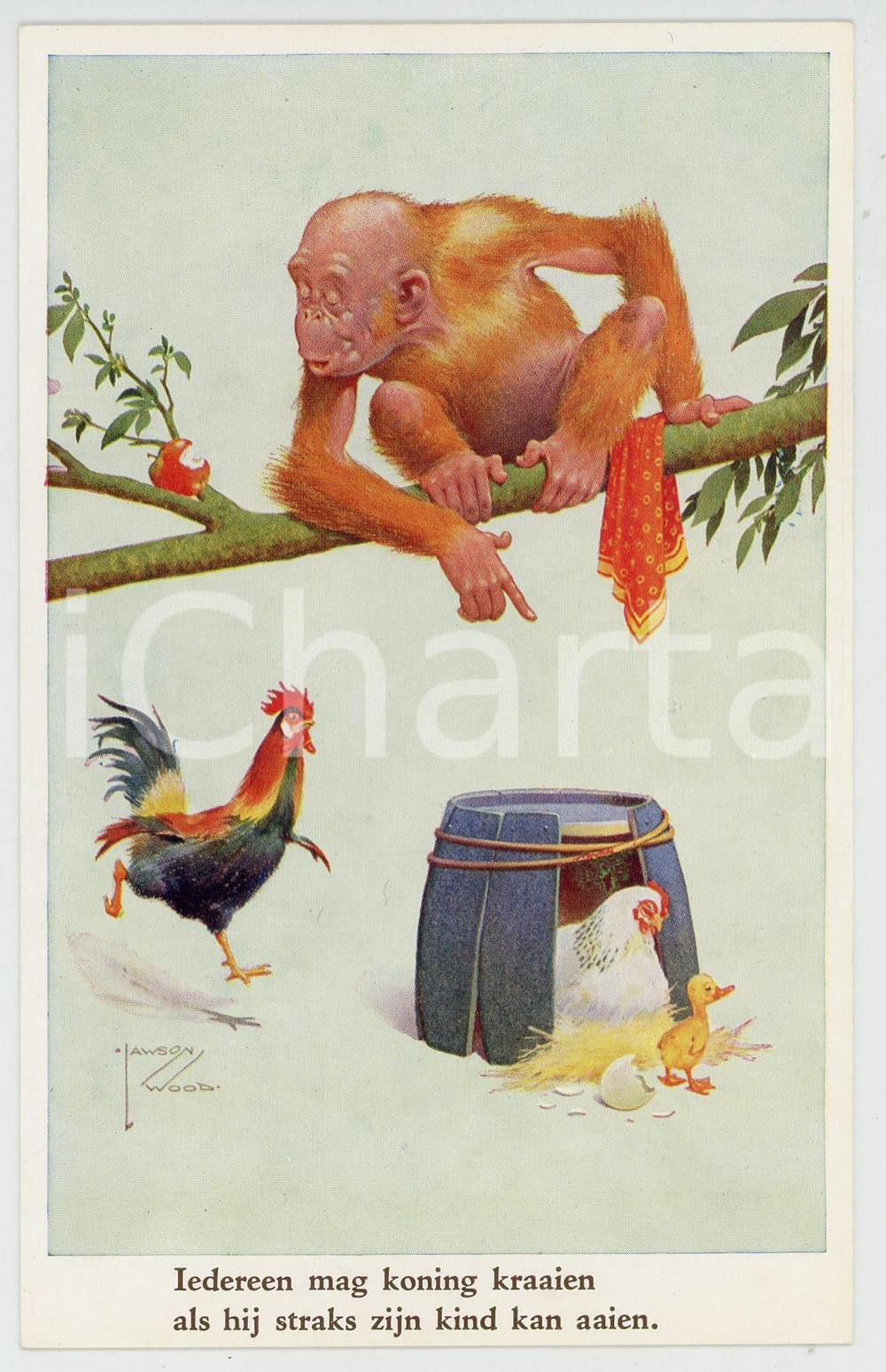 1920 ca ANIMALS Artist Lawson WOOD Monkey dad - Postcard GRAN'POP Series (12)  Cartolina postale d'epoca, non viaggiata.CONDIZIONI: GOODFORMATO: FP    originale e autentica 1