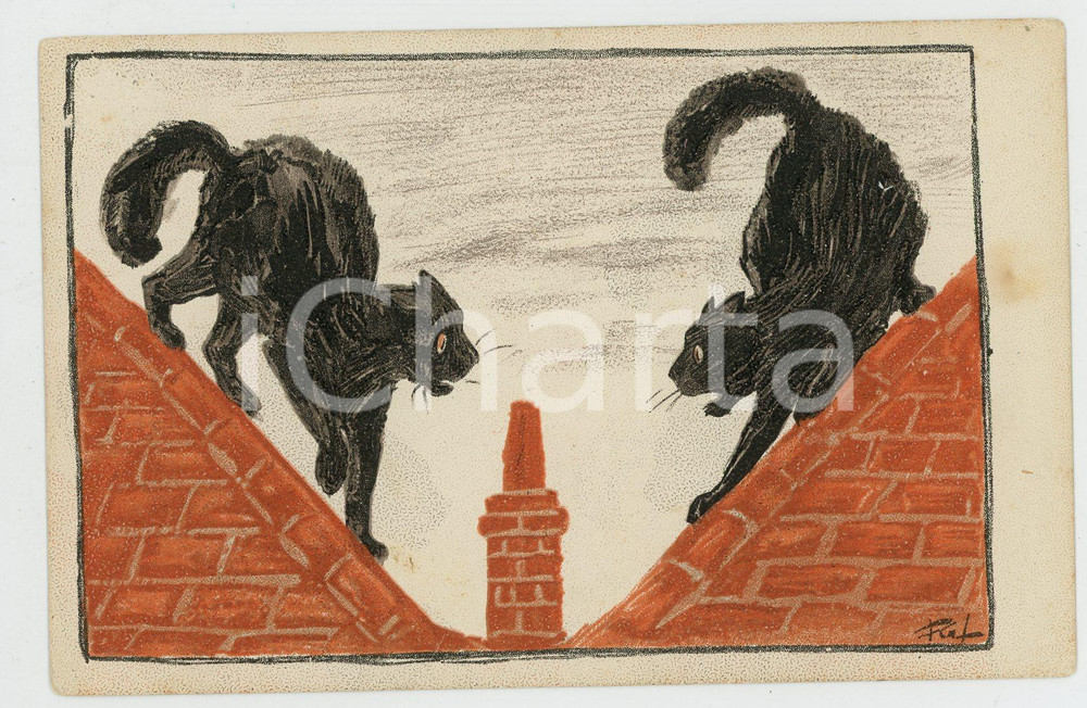 1920 ca ANIMALS Cats arguing ILLUSTRATED Clifton Postcard FP NV (2)  Cartolina d'epoca, non viaggiata ma con nota manoscritta al verso.CONDIZIONI: FAIRFORMATO: FP    originale e autentica 1