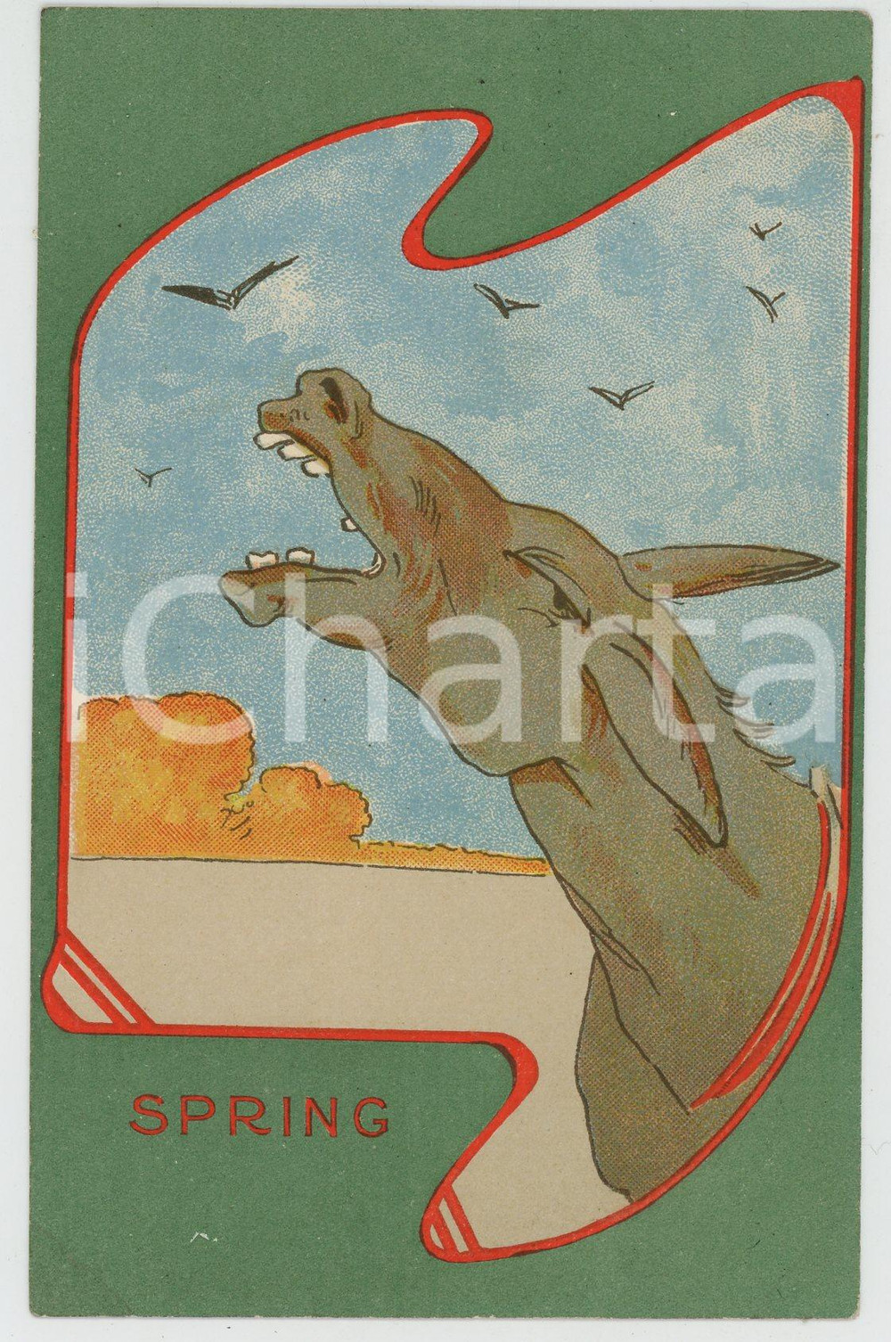 1925 ca FOUR SEASONS - SPRING Braying donkey ILLUSTRATED Postcard FP NV  Cartolina d'epoca, non viaggiata.CONDIZIONI: FAIRFORMATO: FP    originale e autentica 1