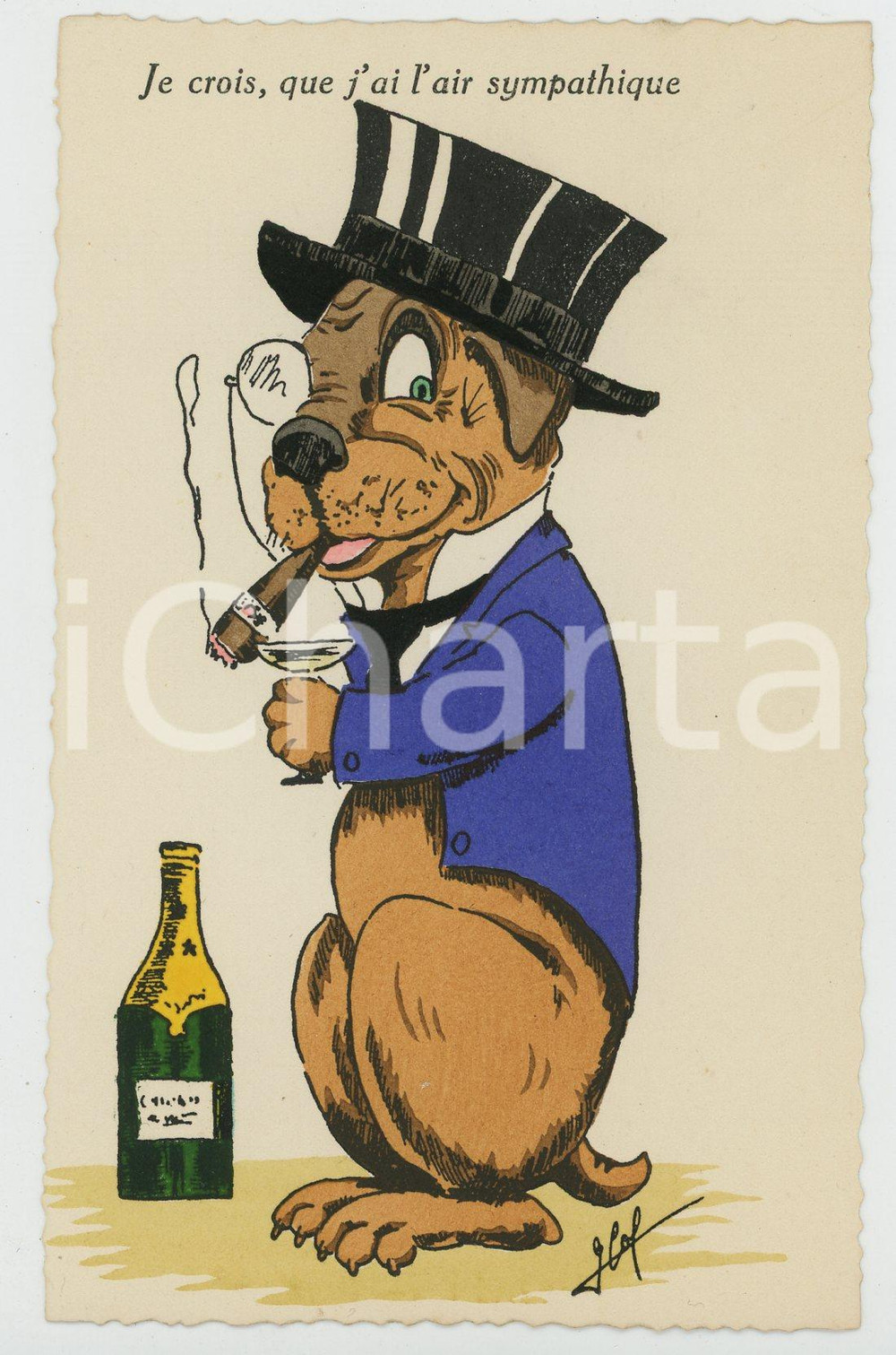 1940 ca BELGIUM - CHIENS J'ai l'air sympathique - Postcard G. COF blue  Cartolina postale d'epoca, non viaggiata, firmata G. Cof.La cartolina appartiene alla serie "Aquarella".CONDIZIONI: GFORMATO: FP    originale e autentica 1