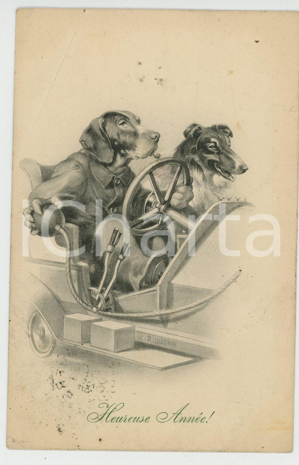 1909 HEUREUSE ANNÉE Dog race - Ill. by R. ULREICH Anthropomorphic postcard FP  Cartolina postale d'epoca, viaggiata.CONDIZIONI: POOR (profonda piegatura all'angolo superiore sinistro)FORMATO: FP    originale e autentica 1
