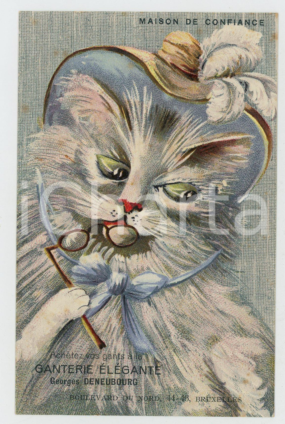 1900 ca BRUXELLES Ganterie Georges DENEUBOURG Cat ANTHROPOMORPHIC Postcard FP VG  Cartolina postale d'epoca, non viaggiata. FAIR/discreto Bruniture al verso Formato: FP originale e autentica 1