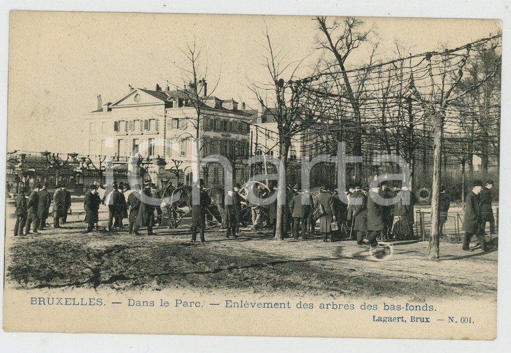 1900 ca BRUXELLES Dans le parc - Enlèvement des arbres - Carte postale ANIMEE  Cartolina postale d'epoca, non viaggiata.CONDIZIONI: G FORMATO: FP    originale e autentica 1