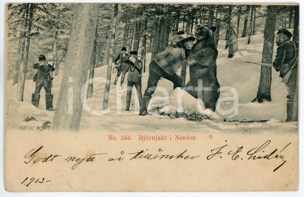1909 NORGE - NORWAY Bjornjakt i norden - Bear hunting in the North - Postcard FP  Cartolina postale d'epoca, viaggiata.CONDIZIONI: FAIRFORMATO: FP    originale e autentica 1