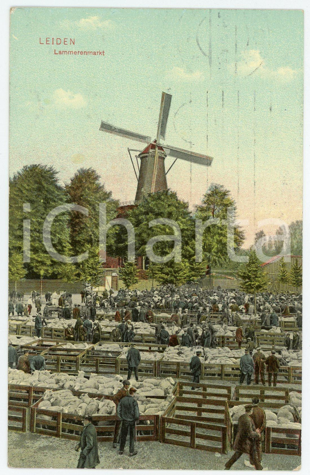 1912 LEIDEN - NETHERLANDS Lammerenmarkt - Postcard FP VG  Cartolina d'epoca, viaggiata. FAIR/discreto Lievi smussature agli angoli Formato: FP originale e autentica 1