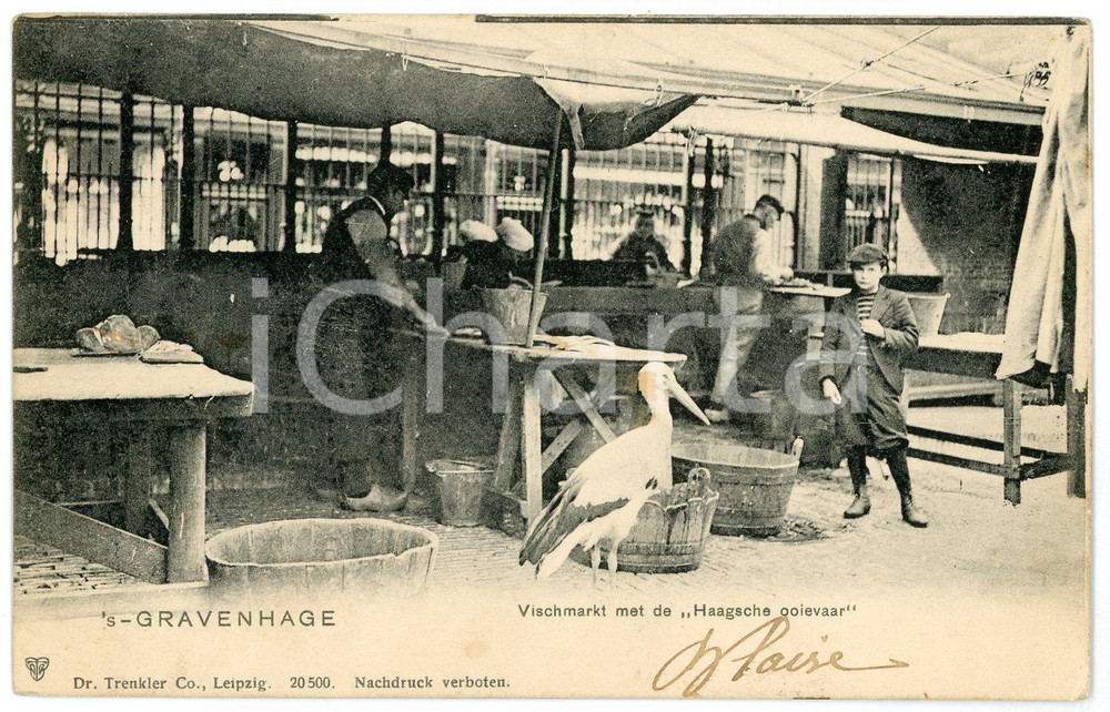 1906 DEN HAAG - 'S-GRAVENHAGE Vischmarkt met de Haagsche ooievar - Postcard FP  Cartolina d'epoca, viaggiata. FAIR/discreto Lievi smussature agli angoli Formato: FP originale e autentica 1