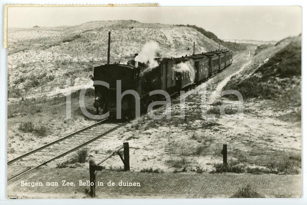 1957 BERGEN AAN ZEE - NETHERLANDS Bello in de duinen - Train - Postcard FP VG  Cartolina d'epoca, viaggiata. FAIR/discreto Lievi smussature agli angoli Formato: FP originale e autentica 1