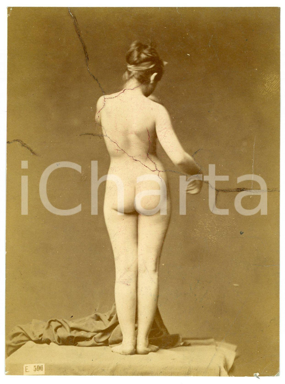 1900 ca VINTAGE EROTIC Nude woman from behind - Studio - DAMAGED Photo 10x14 cm Fotografia originale d'epoca, incollata su cartoncino.CONDIZIONI: VP (danneggiata da crepe superficiali)FORMATO: 10x14 cm    originale e autentica 1