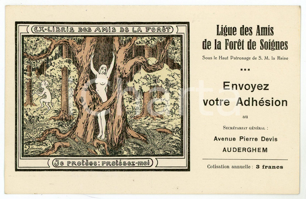 1910 ca AUDERGHEM Artist Jeanne HOVINE - Amis de la Forêt de Soignes *Postcard Cartolina postale d'epoca, non viaggiata.CONDIZIONI: G FORMATO: FP    originale e autentica 1