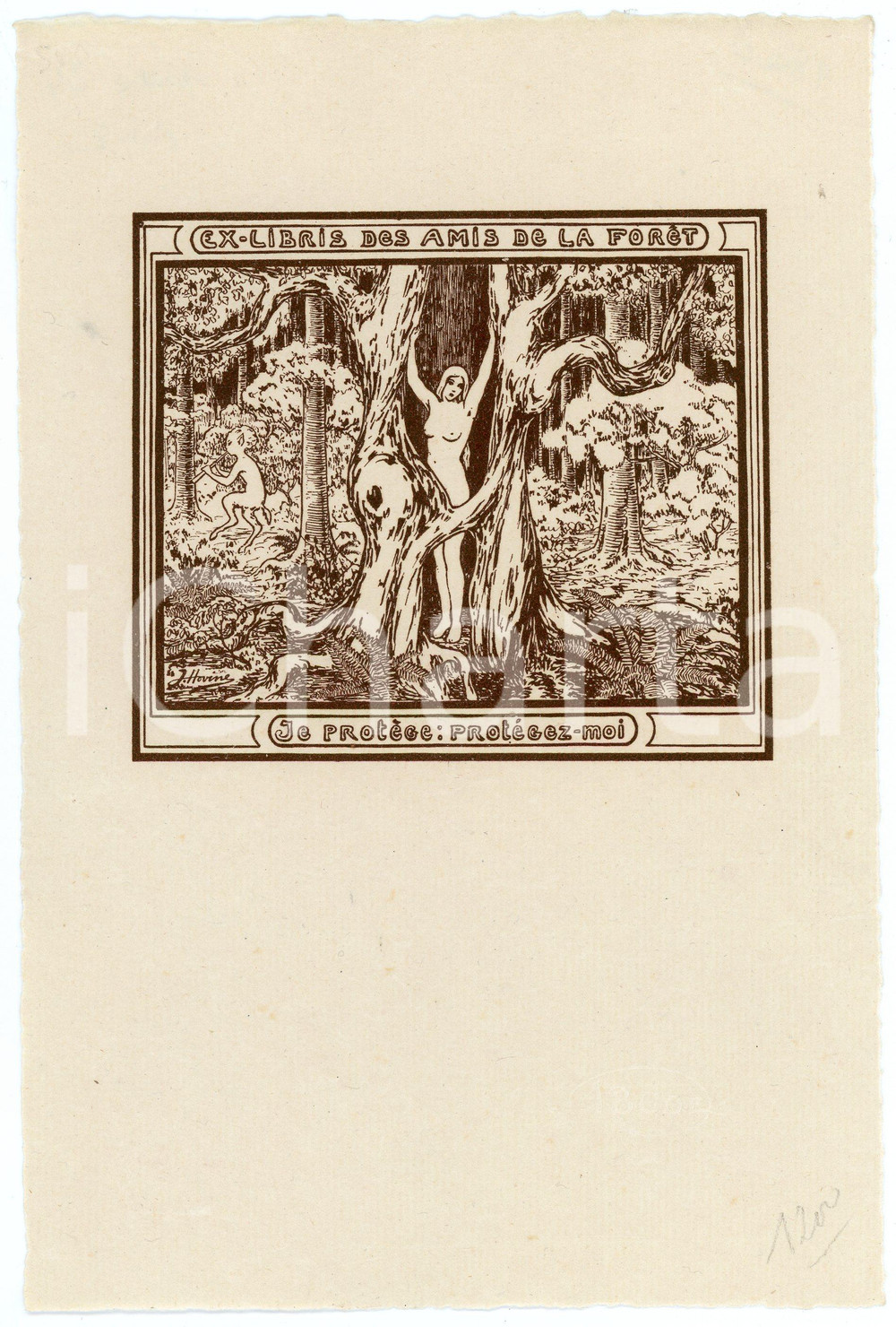 1910 ca Jeanne HOVINE Ex Libris Amis de la Forêt de Soignes - Nude woman *Cliché Clich&eacute; originale per ex libris, su carta, opera dell'artista Jeanne Hovine.CONDIZIONI: G FORMATO: 15x23 cm    originale e autentica 1