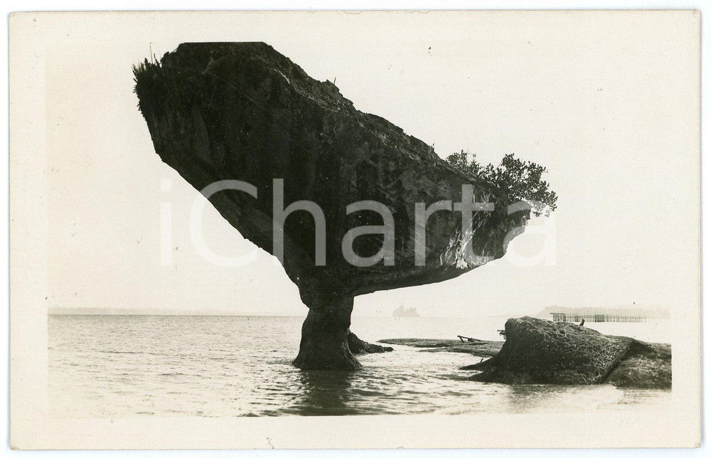 1910 ca FRANCE (?) Elephant Rock - Postcard FP NV  Cartolina postale d'epoca, non viaggiata.CONDIZIONI: FAIRFORMATO: FP    originale e autentica 1