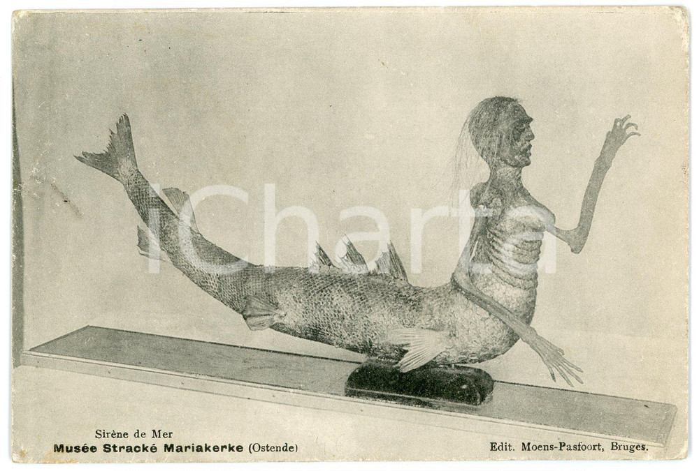 1910 ca BELGIUM OSTENDE Mariakerke Musée Stracké - Sirène de Mer - Postcard  Cartolina postale d'epoca, non viaggiata.CONDIZIONI: F (lievi piegature angolari)FORMATO: FP    originale e autentica 1