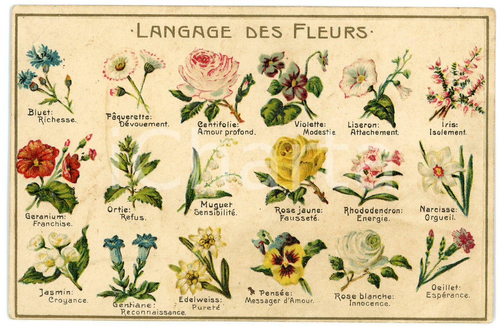 1910 ca LANGAGE DE FLEURS Illustrated - Embossed postcard FP VG  Cartolina postale d'epoca, viaggiata. FAIR/discreto Lievi piegature agli angoli Formato: FP originale e autentica 1