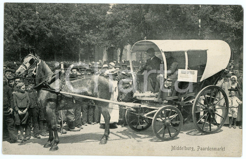 1910 ca MIDDELBURG (NEDERLAND) Paardenmarkt - Hoofdprijs - Postcard FP NV  Cartolina postale d'epoca, non viaggiata. FAIR/discreto Lievi smussature agli angoli Formato: FP originale e autentica 1