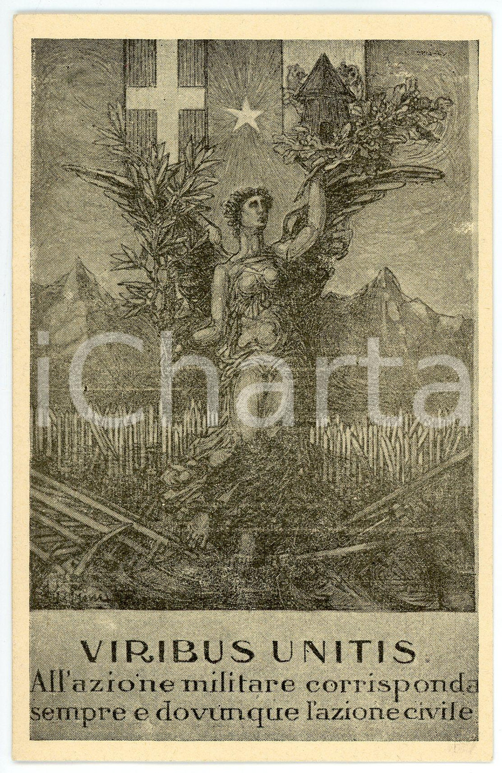 1915 ca WW1 LUCCA Federazione comitati rurali - Viribus unitis - Cartolina (1)  Cartolina d'epoca, non viaggiata. FAIR/discreto lievi smussature agli angoli Formato: FP originale e autentica 1