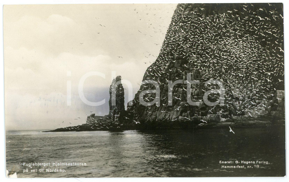 1935 ca HAMNNES (NORWAY) Fuglebjerget Hjelmsøystauren - Postcard FP NV  Cartolina d'epoca, non viaggiata. FAIR/discreto Lievi smussature agli angoli Formato: FP originale e autentica 1