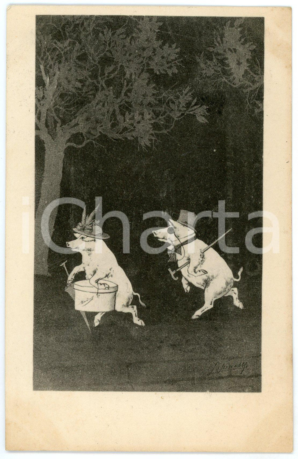 1901 Pigs dressed as lady and gentleman in a wood - Anthropomorphic Postcard  Cartolina postale d'epoca, viaggiata.CONDIZIONI: F (minima smussatura angolare e lieve macchia)FORMATO: FP    originale e autentica 1