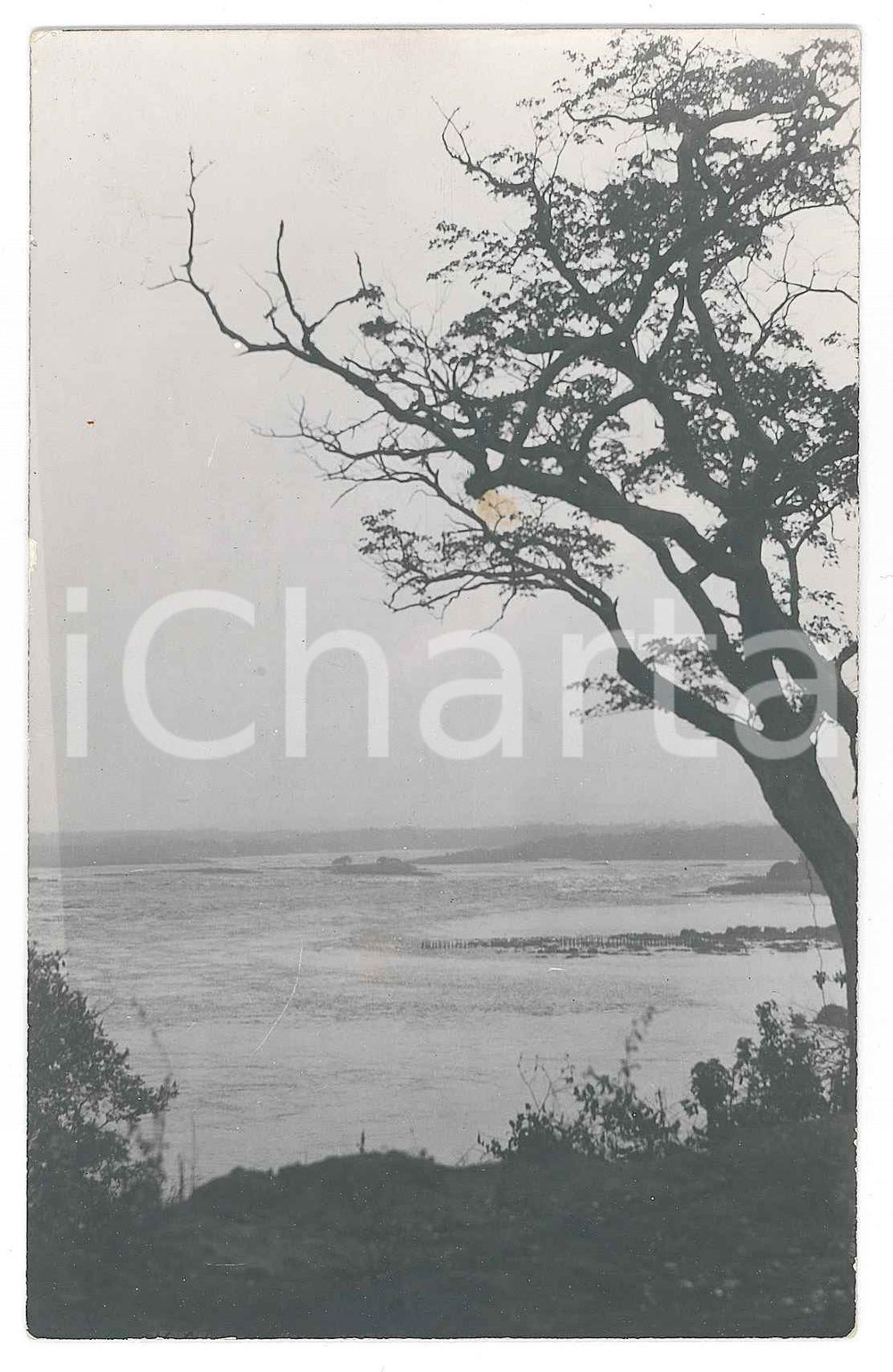 1930 ca C. ZAGOURSKI "Le Congo Illustré" - Paysage congolais (1) Postcard 9 x 14  Fotocartolina postale d'epoca, appartenente alla serie &laquo;Le Congo Illustr&eacute;&raquo; del fotografo Casimir Zagourski (L&eacute;opoldville).CONDIZIONI: FAIR (lievi sbrecciature ai margini)FORMATO: 9x14 cm    originale e autentica 1