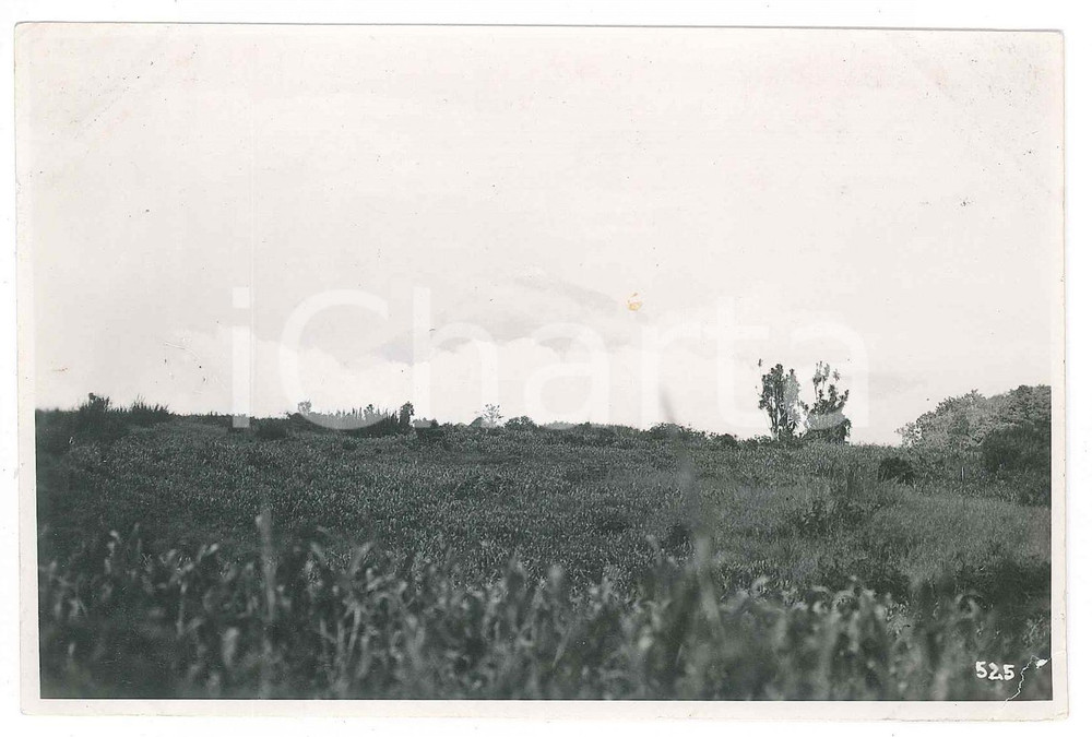 1930 C. ZAGOURSKI «Le Congo Illustré» KIVU - Volcan NYAMURAGIRA Postcard  Fotocartolina postale d'epoca, appartenente alla serie &laquo;Le Congo Illustr&eacute;&raquo; del fotografo Casimir Zagourski (L&eacute;opoldville).Non viaggiata.CONDIZIONI: VERY POOR (strappo all'angolo inferiore destro maldestramente riparato con del nastro adesivo)FORMATO: 14x9 cm    originale e autentica 1
