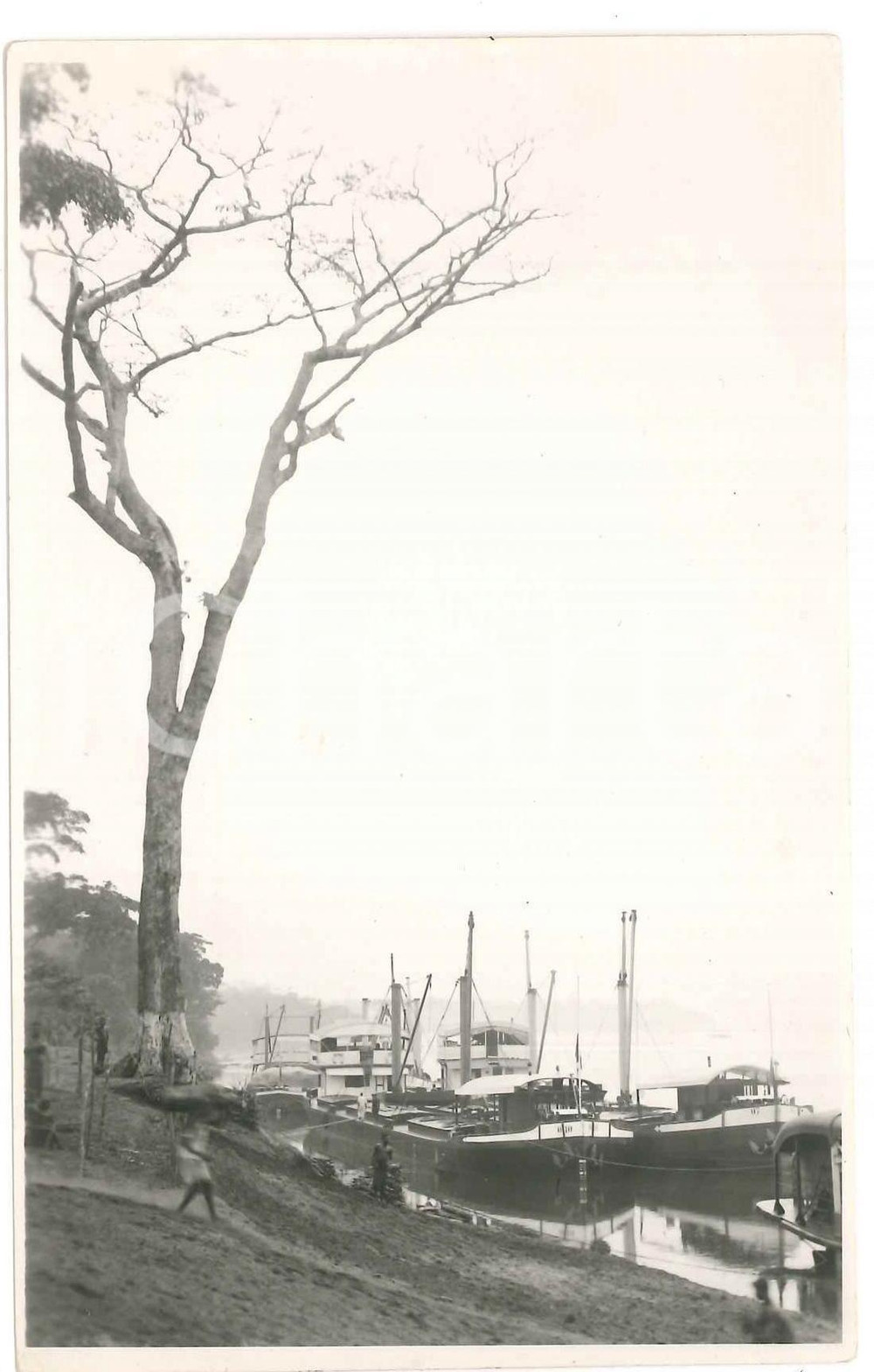 1930 C. ZAGOURSKI - CONGO BELGE Kinshasa - Paysage - Postcard 9x14 cm  Fotocartolina postale d'epoca, attibuita al fotografo Casimir Zagourski.CONDIZIONI: FAIR (lievi piegature all'angolo superiore destro)FORMATO: 9x14 cm    originale e autentica 1