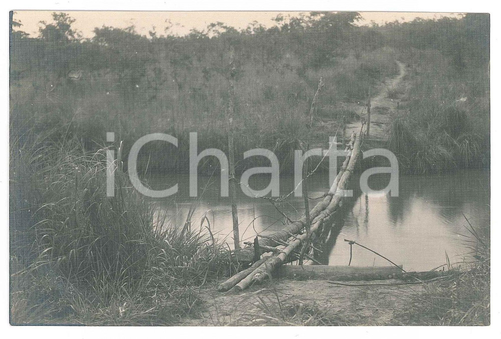 1930 ca C. ZAGOURSKI - CONGO BELGE - Pont indigène - Photo 14x9 cm  Fotografia seriale d'epoca, opera del fotografo Casimir Zagourski.CONDIZIONI: GFORMATO: 14x9 cm    originale e autentica 1