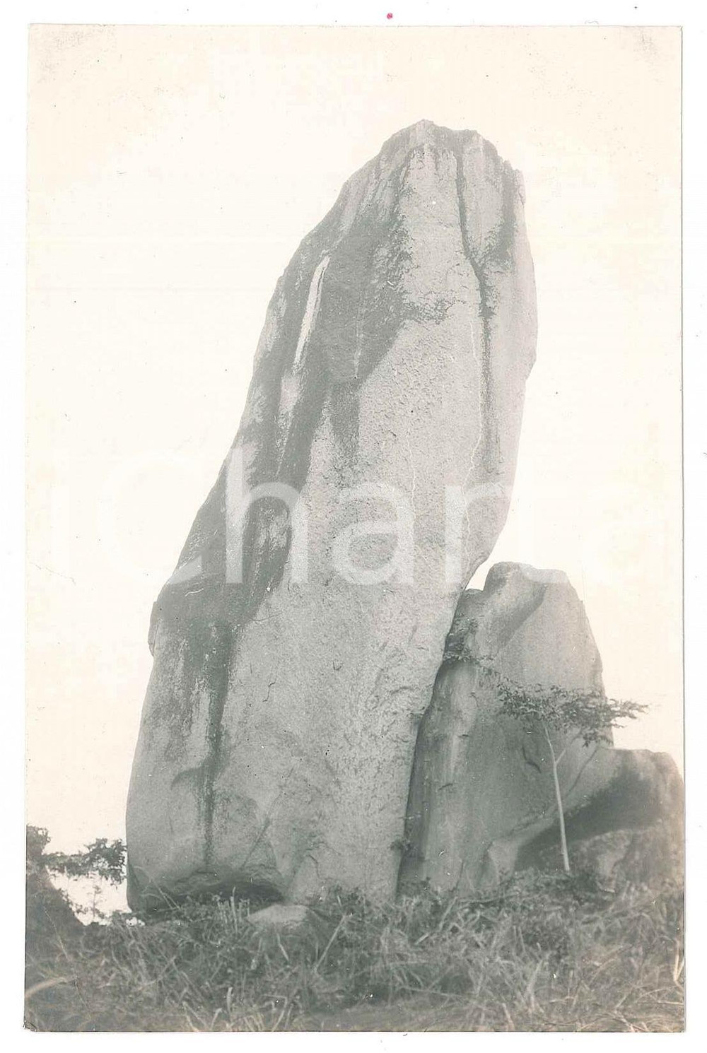 1930 ca C. ZAGOURSKI (?) CONGO BELGE - NATURE - Rocher *Photo 9x14 cm  Fotografia seriale d'epoca, attibuita al fotografo Casimir Zagourski.CONDIZIONI: GFORMATO: 9x14 cm    originale e autentica 1