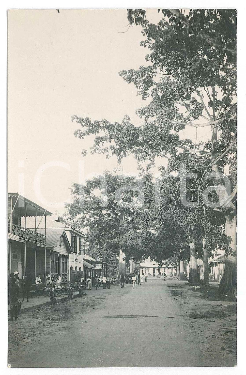 1930 ca C. ZAGOURSKI (?) CONGO BELGE - KINSHASA - Avenue *Photo ANIMÉE  Fotocartolina postale d'epoca, attibuita al fotografo Casimir Zagourski.CONDIZIONI: G FORMATO: 9x14 cm    originale e autentica 1