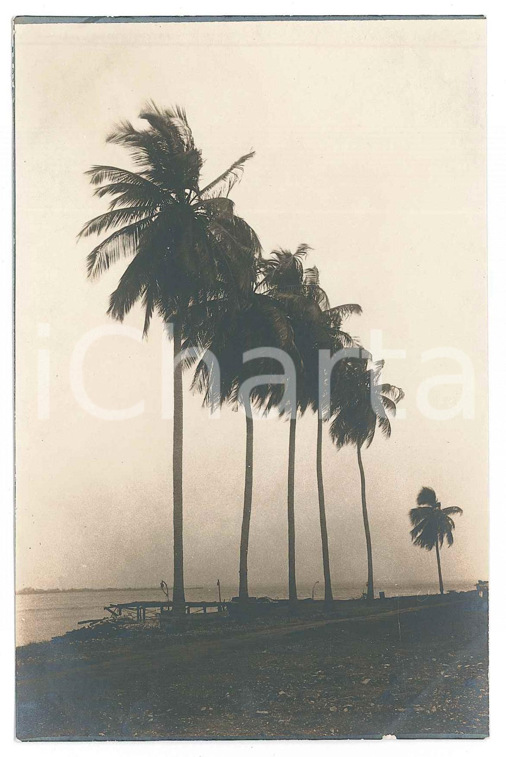 1930 C. ZAGOURSKI (?) AFRIQUE - CONGO BELGE - Paysage (1) Postcard  Fotocartolina postale d'epoca, attibuita al fotografo Casimir Zagourski.CONDIZIONI: G (minima sbrecciatura al margine inferiore)FORMATO: 9x14 cm    originale e autentica 1