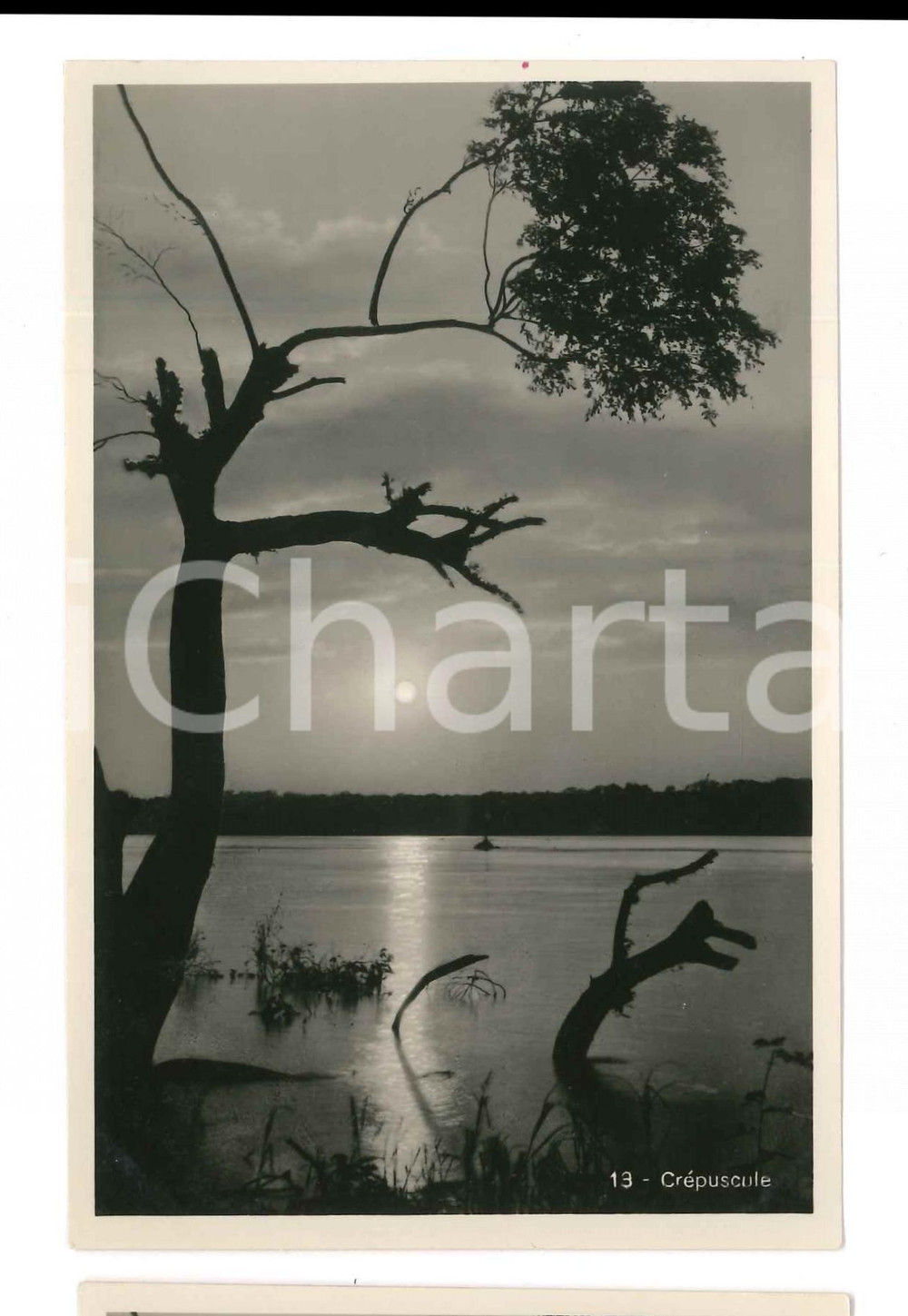 1930 C. ZAGOURSKI "L'Afrique qui disparaît" Paysage congolais - Crépuscule 216  Fotocartolina postale d'epoca, appartenente alla serie &laquo;L'Afrique qui dispara&icirc;t&raquo; del fotografo Casimir Zagourski (L&eacute;opoldville).N&deg;216. non viaggiata.CONDIZIONI: FAIR FORMATO: 14x9 cm     originale e autentica 1