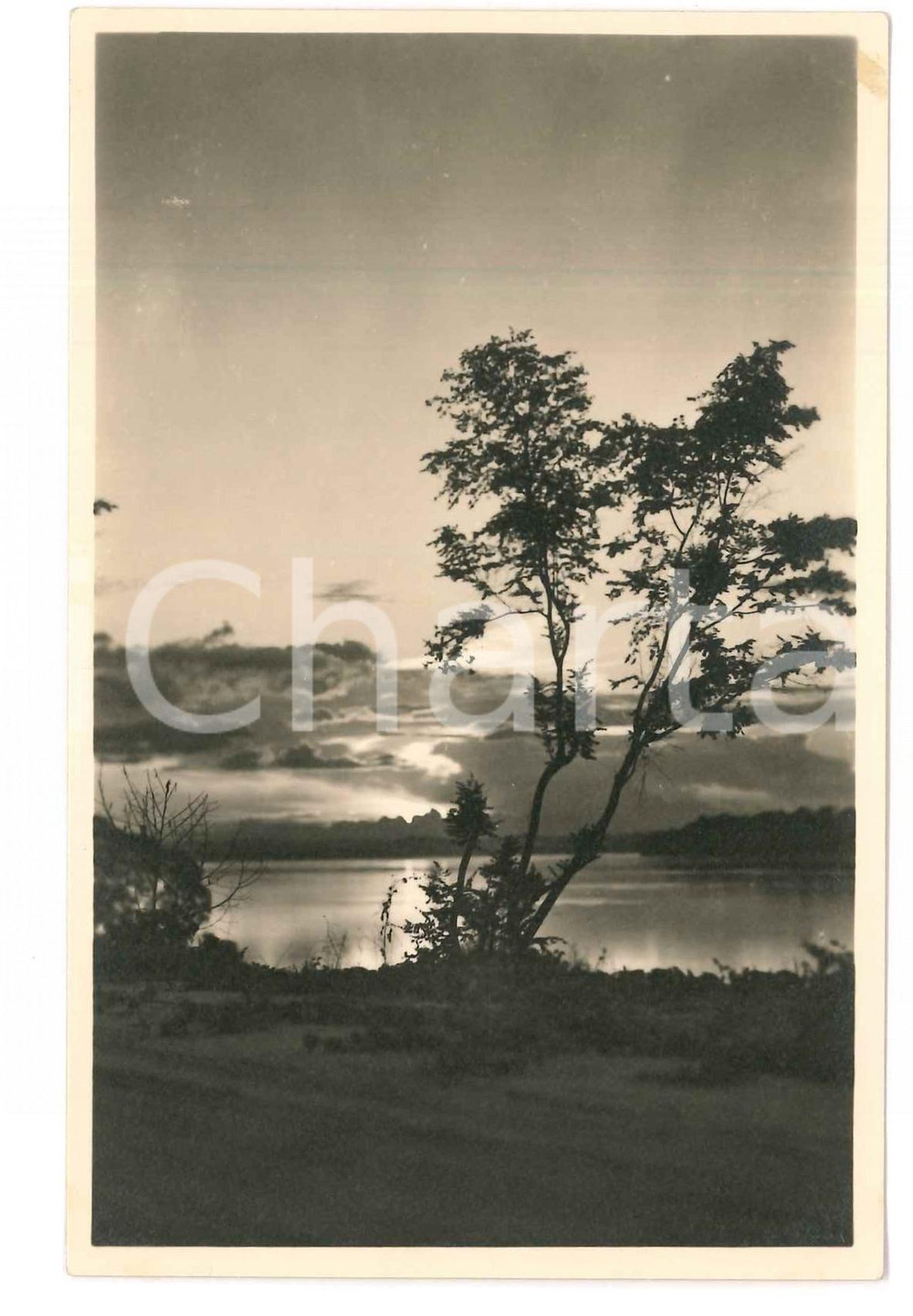 1930 C. ZAGOURSKI «L'Afrique qui disparaît» Paysage congolais - Postcard n.214  Fotocartolina postale d'epoca, appartenente alla serie &laquo;L'Afrique qui dispara&icirc;t&raquo; del fotografo Casimir Zagourski (L&eacute;opoldville).N&deg;214. non viaggiata.CONDIZIONI: FAIR FORMATO: 14x9 cm    originale e autentica 1
