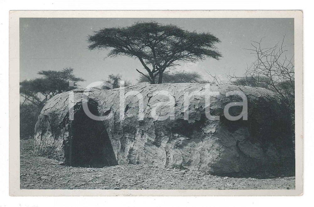 1930 C. ZAGOURSKI «L'Afrique qui disparaît» KENIA Case MASSAI *Postcard  n. 170  Fotocartolina postale d'epoca, appartenente alla 2^serie &laquo;L'Afrique qui dispara&icirc;t&raquo; del fotografo Casimir Zagourski (L&eacute;opoldville).N&deg;170, non viaggiata.CONDIZIONI: F (lievi piegature angolari)FORMATO: 14x9 cm    originale e autentica 1