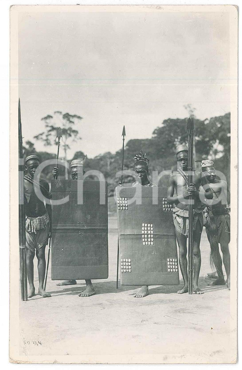 1930 ca C. ZAGOURSKI «L'Afrique qui disparaît» Pr. Or. MANGBETU - Guerriers  Fotocartolina postale d'epoca, appartenente alla serie &laquo;L'Afrique qui dispara&icirc;t&raquo; del fotografo Casimir Zagourski (L&eacute;opoldville).N&deg; 73, viaggiata nel 1948 (ma francobollo asportato).CONDIZIONI: F (minime sbrecciature angolari e marginali)FORMATO: 9x14 cm    originale e autentica 1