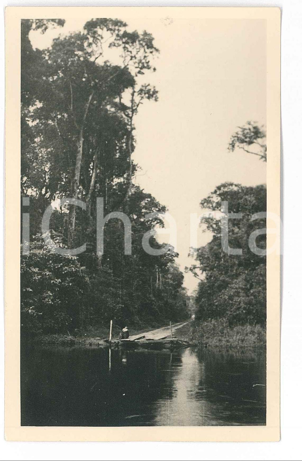 1930 ca ZAGOURSKI «L'Afrique qui disparaît»  Route AKETI-LISALA Postcard 56 (2)  Fotocartolina postale d'epoca, appartenente alla 2^serie &laquo;L'Afrique qui dispara&icirc;t&raquo; del fotografo Casimir Zagourski (L&eacute;opoldville), n&deg; 56.Non viaggiata.Timbro al verso: "Henri Nicaise Photographe - Namur".CONDIZIONI: GFORMATO: 9x14 cm    originale e autentica 1