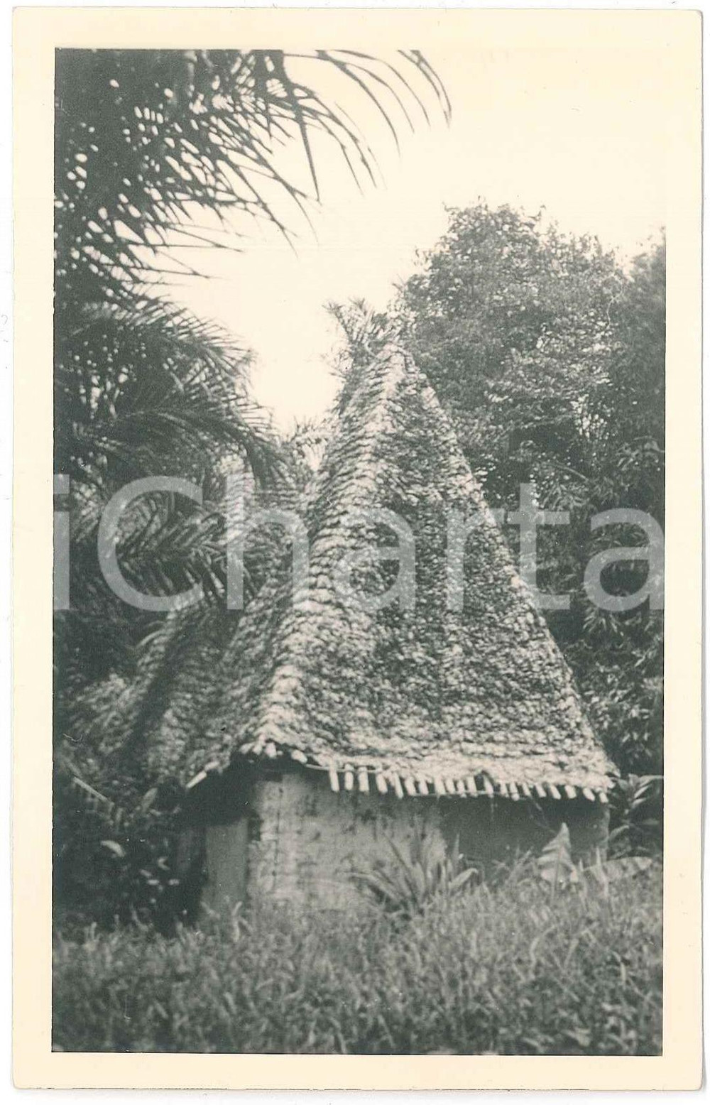 1930 C. ZAGOURSKI «L'Afrique qui disparaît» Case BANGAMISA - Postcard 81  Fotocartolina postale d'epoca, appartenente alla 2^serie &laquo;L'Afrique qui dispara&icirc;t&raquo; del fotografo Casimir Zagourski (L&eacute;opoldville), n&deg; 81.Non viaggiata.Timbro al verso: "Henri Nicaise Photographe - Namur".CONDIZIONI: GFORMATO: 14x9 cm    originale e autentica 1