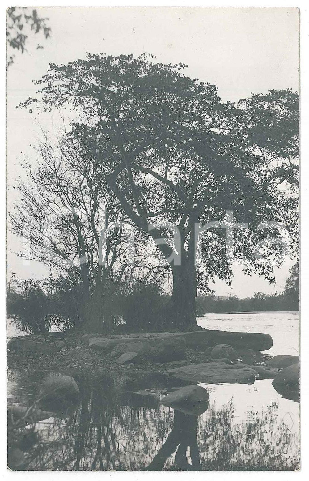 1930 ca C. ZAGOURSKI "Le Congo Illustré" - Paysage congolais (2) Postcard 9x14  Fotocartolina postale d'epoca, appartenente alla serie &laquo;Le Congo Illustr&eacute;&raquo; del fotografo Casimir Zagourski (L&eacute;opoldville).CONDIZIONI: GFORMATO: 9x14 cm    originale e autentica 1