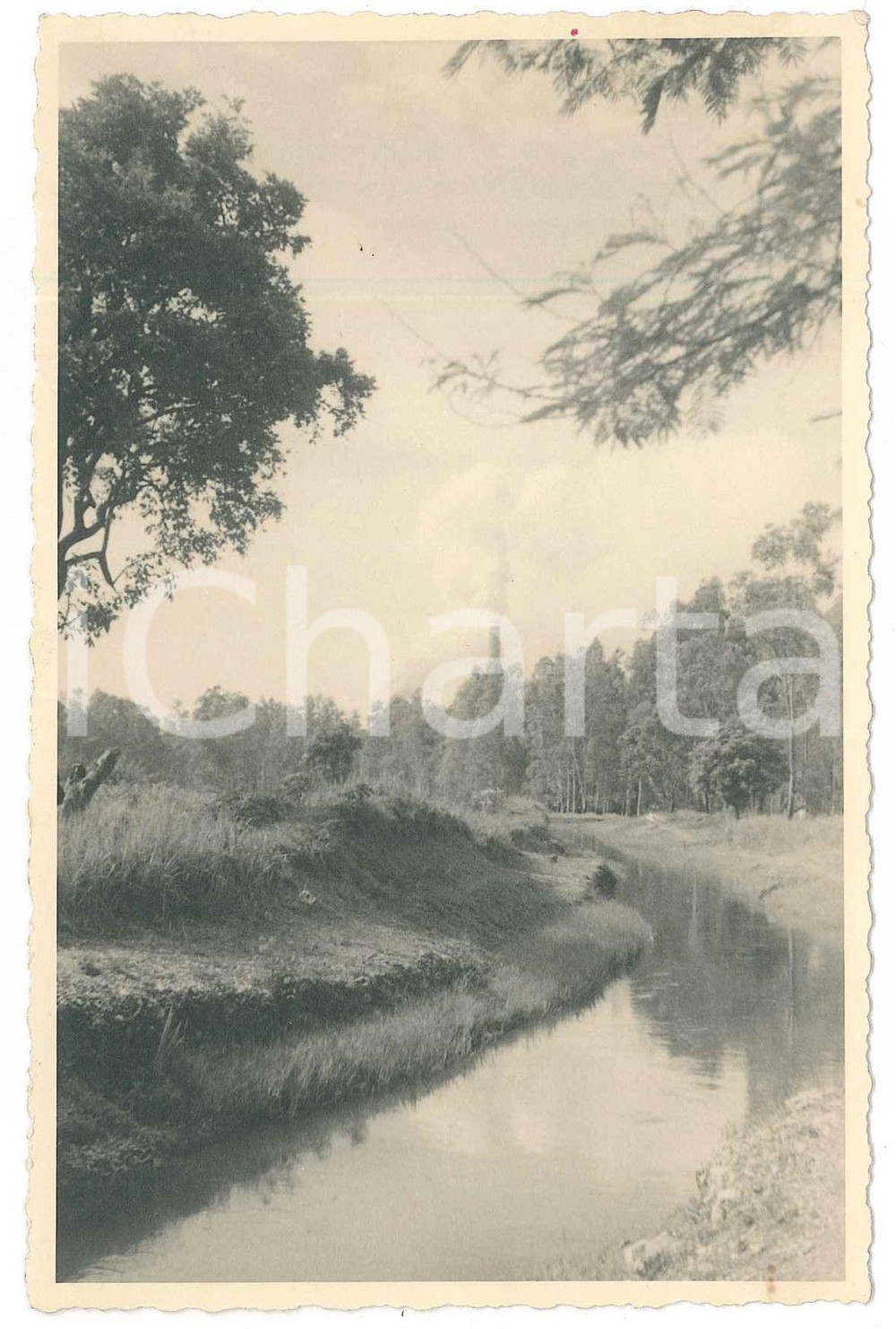1930 ca C. ZAGOURSKI (?) AFRIQUE - CONGO BELGE Paysage congolaise (10) Postcard  Fotocartolina postale d'epoca, attibuita al fotografo Casimir Zagourski.CONDIZIONI: GOODFORMATO: 9x14 cm    originale e autentica 1