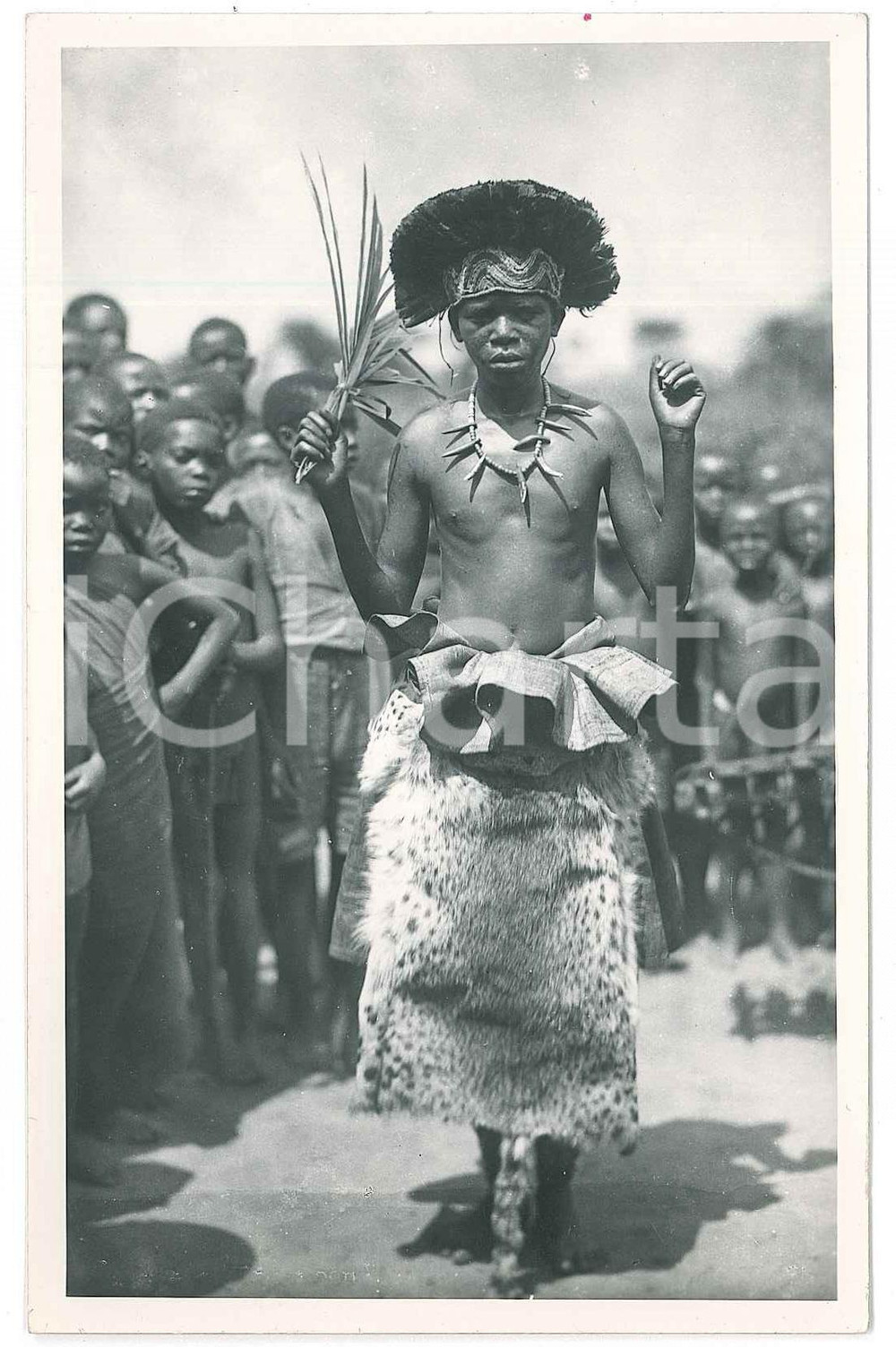 1930 ca C. ZAGOURSKI «L'Afrique qui disparaît» Danseur Bakamputu *Postcard n.33  Fotocartolina postale d'epoca, appartenente alla serie &laquo;L'Afrique qui dispara&icirc;t&raquo; del fotografo Casimir Zagourski (L&eacute;opoldville).N&deg; 33, non viaggiata.CONDIZIONI: GFORMATO: 9x14 cm    originale e autentica 1