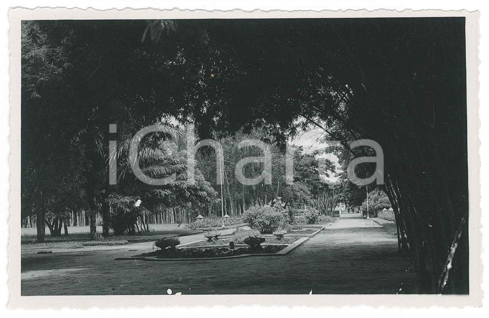 1935 C. ZAGOURSKI (?) LEOPOLDVILLE - Jardin publique - Photo 14x9 cm  Fotocartolina postale d'epoca, attibuita al fotografo Casimir Zagourski, non viaggiata.CONDIZIONI: G (ma difetti di stampa)FORMATO: 14x9 cm    originale e autentica 1